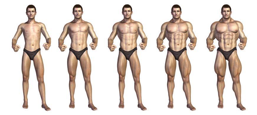 სხეულის ზრდა