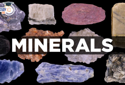 მინერალები ბოდიბილდინგში